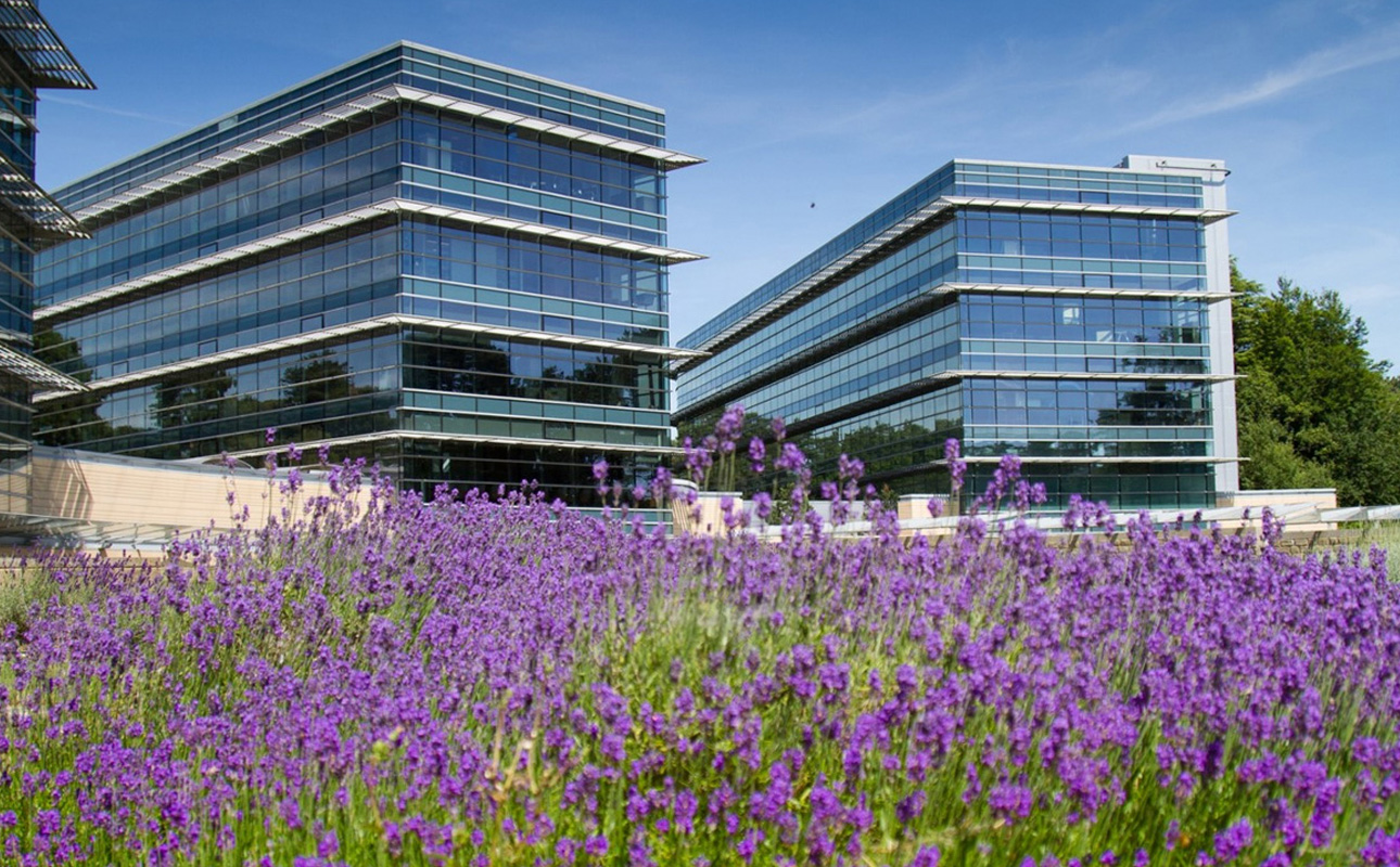 Case Study: UX/UI Design and Architecture for SSP Legacy System